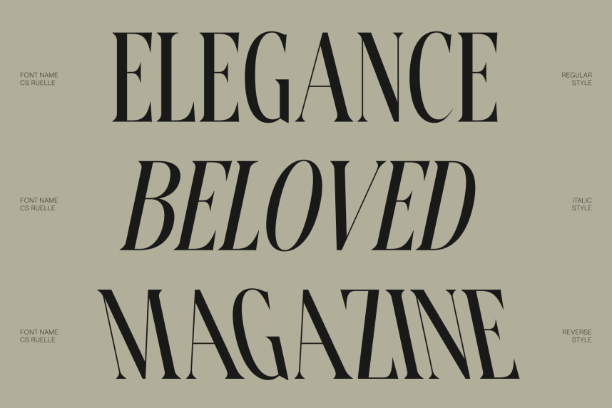 CS Ruelle Font preview image 3