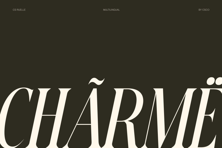 CS Ruelle Font preview image 4