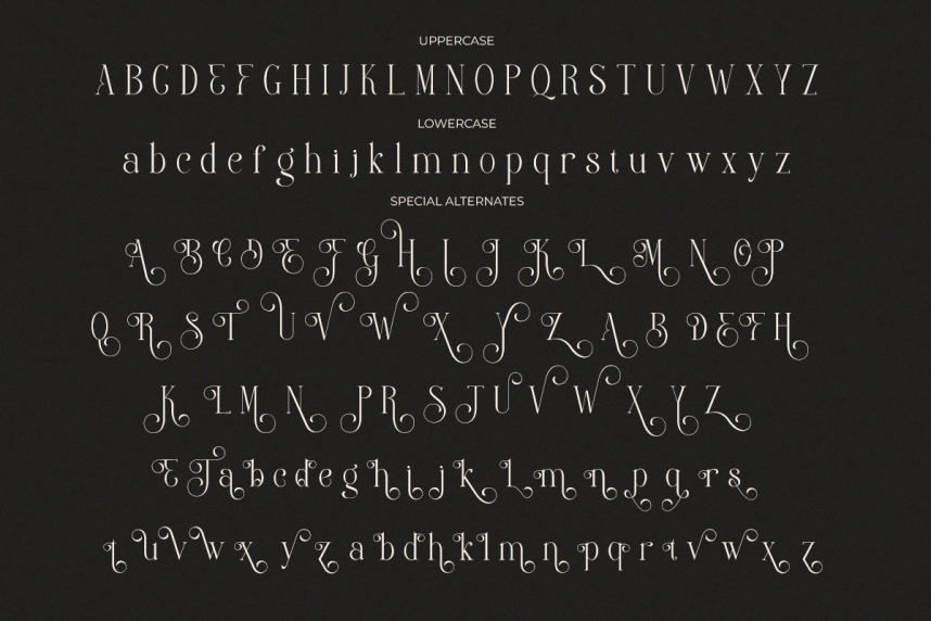 Clustery Royals Font preview image 3