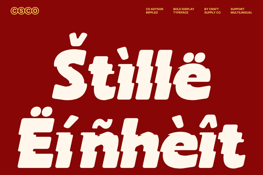 CS Adyson Rippled Font preview image 4