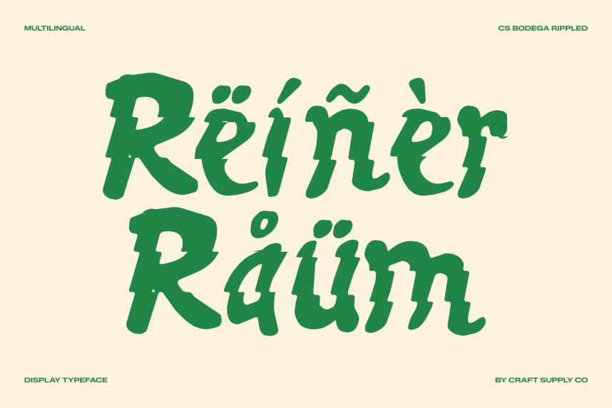 CS Bodega Rippled Font preview image 4