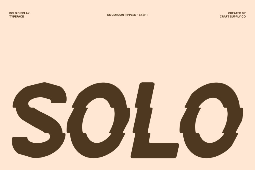 CS Gordon Rippled Font preview image 2