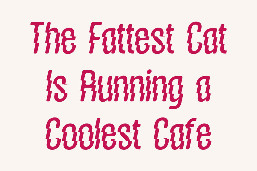 CS Murphy Rippled Font preview image 4