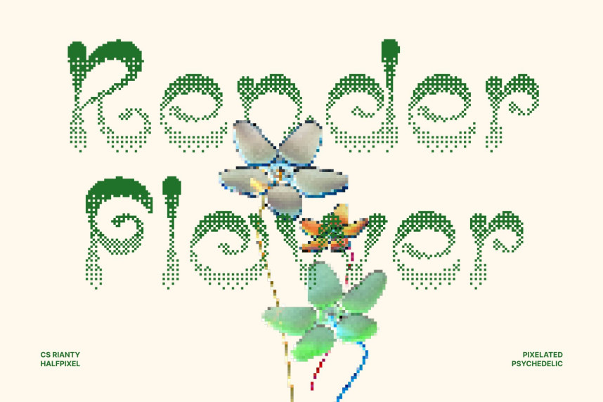 CS Rianty Halfpixel Font preview image 2