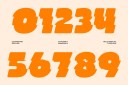 CS Risgard Rippled Font preview image 3