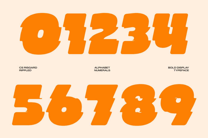 CS Risgard Rippled Font preview image 3