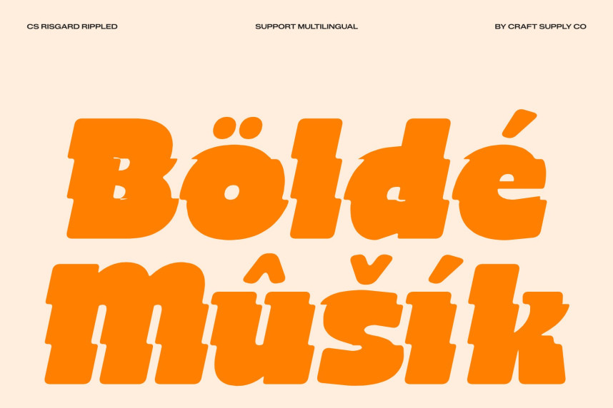 CS Risgard Rippled Font preview image 4