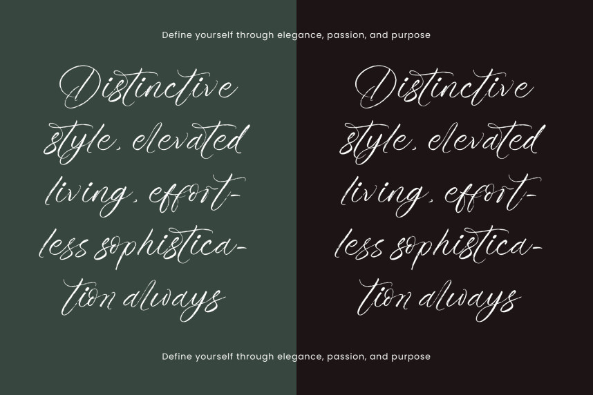 Roast Ritual Script Font preview image 2