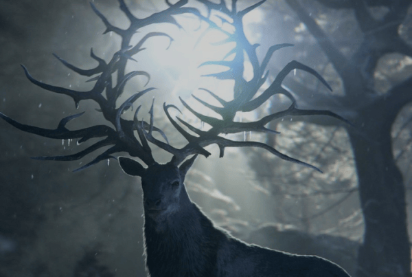 shadow and bone