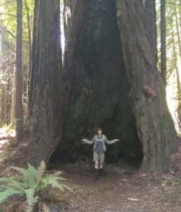 Photo of author T. C. Duck in front of a very large tree with an impressive hollow