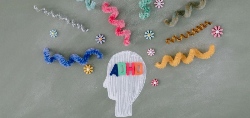 Behaviour Support Plan Inclusion Hub - Incredible Full HD Mountain Arts | Free Download