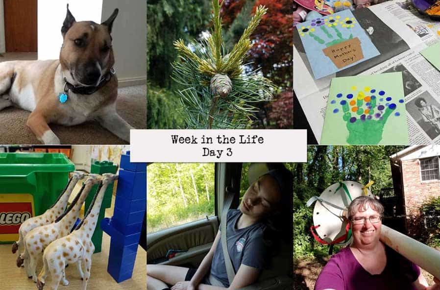 week in the life 2018
