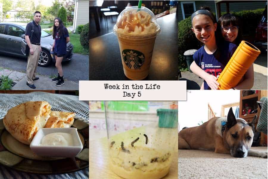 week in the life day 5