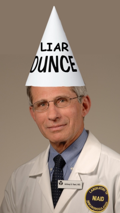 Large selection of official apparel; From masks to the origins of COVID, Anthony Fauci is a