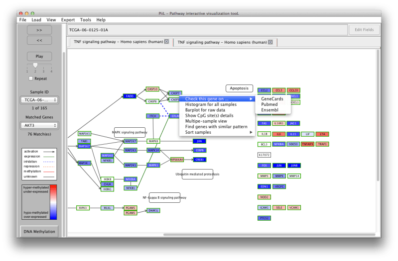 Piil Tutorial - Premium City Wallpaper Gallery - 8K