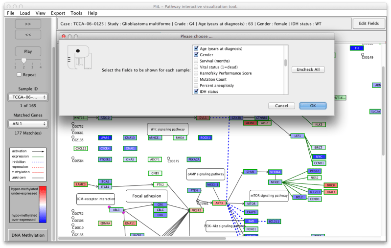 Piil Tutorial - Professional Retina Light Designs | Free Download