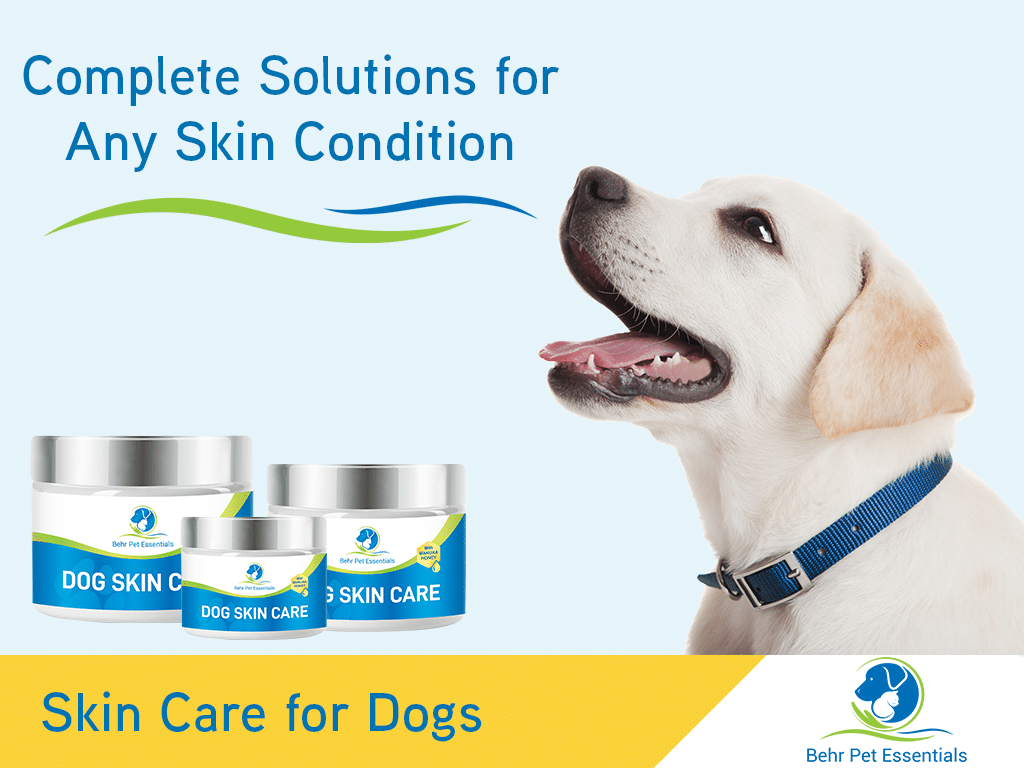 Pet Skin Treatment for Dogs - Image 3
