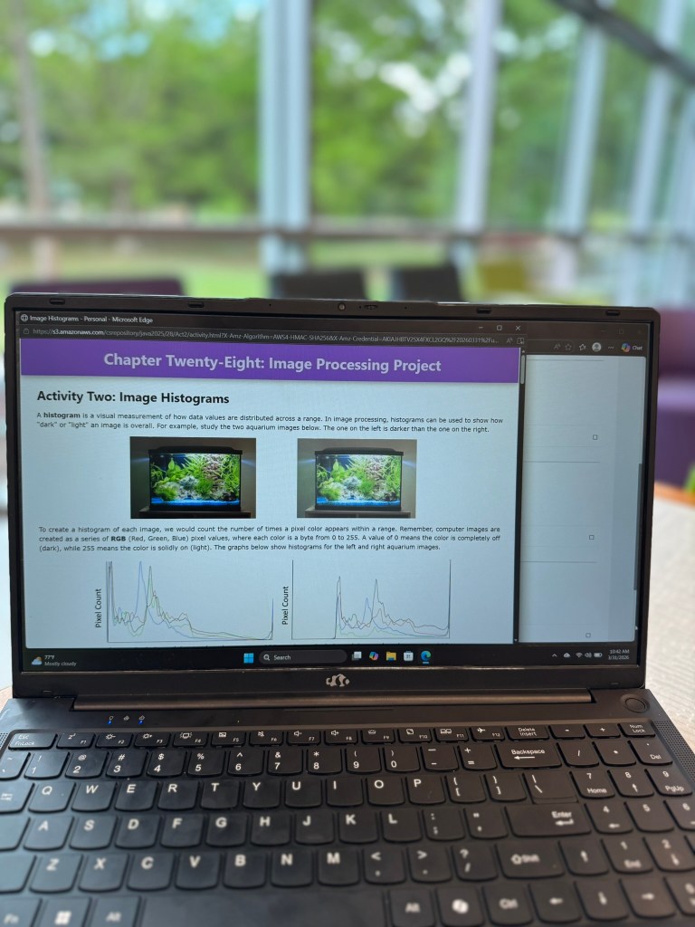 coding lesson explaining Java data visualization and image analysis concepts