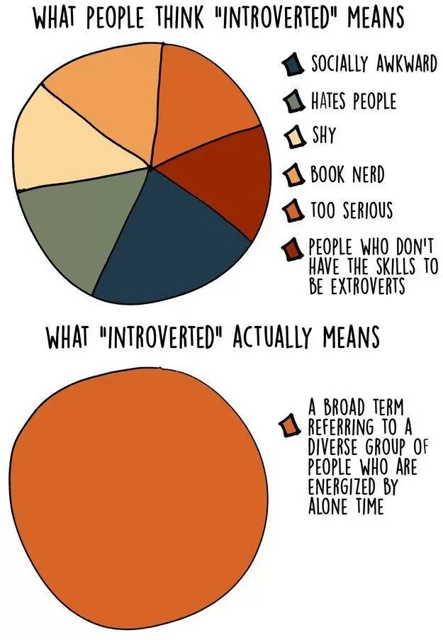 17-Interesting-Graphs-That-Define-The-Life-Of-An-Introvert-LifeHack.jpg