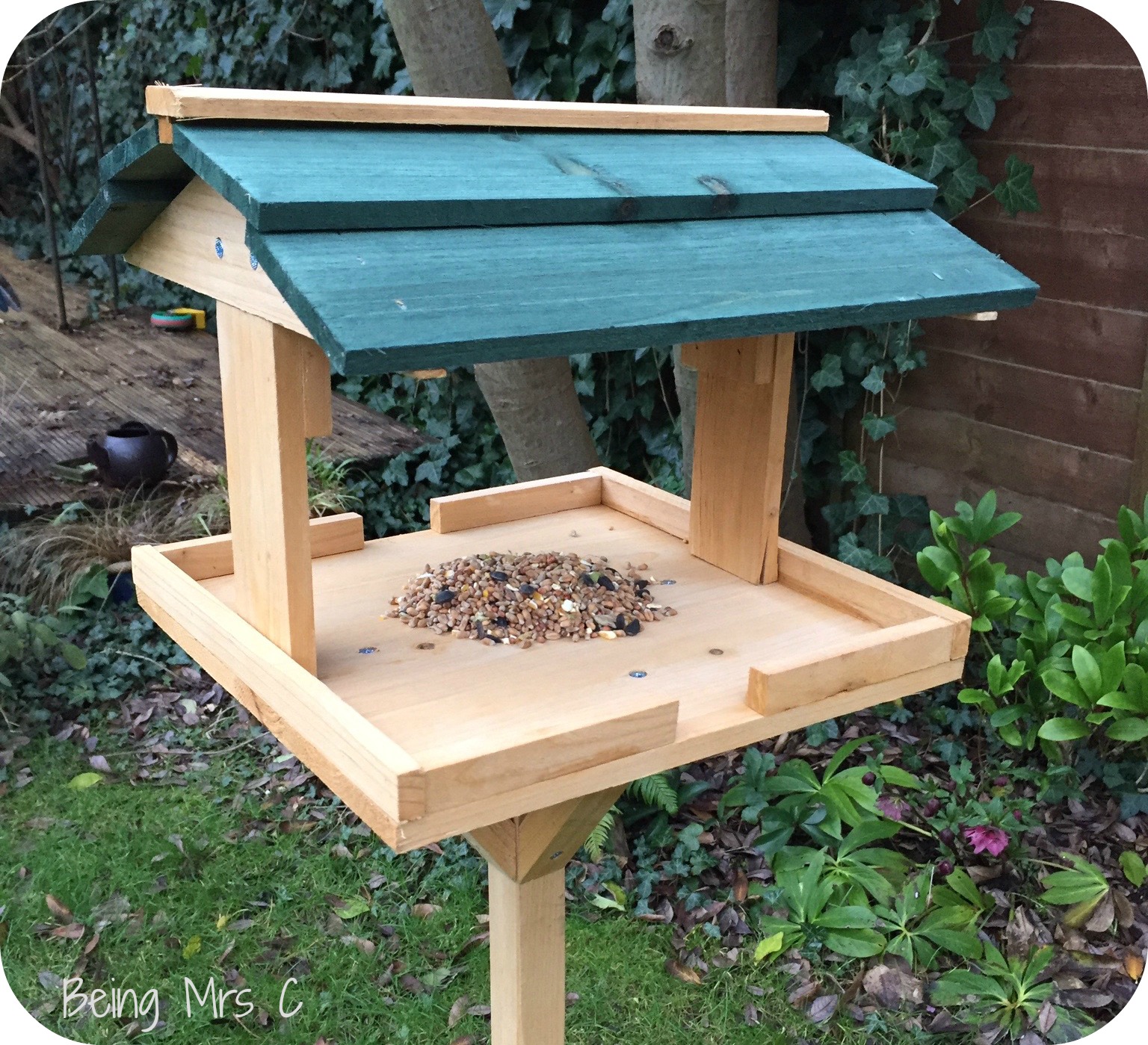 Check out our from garden to table: Exploring nature in our back garden as a Wilko Wild Bird ...