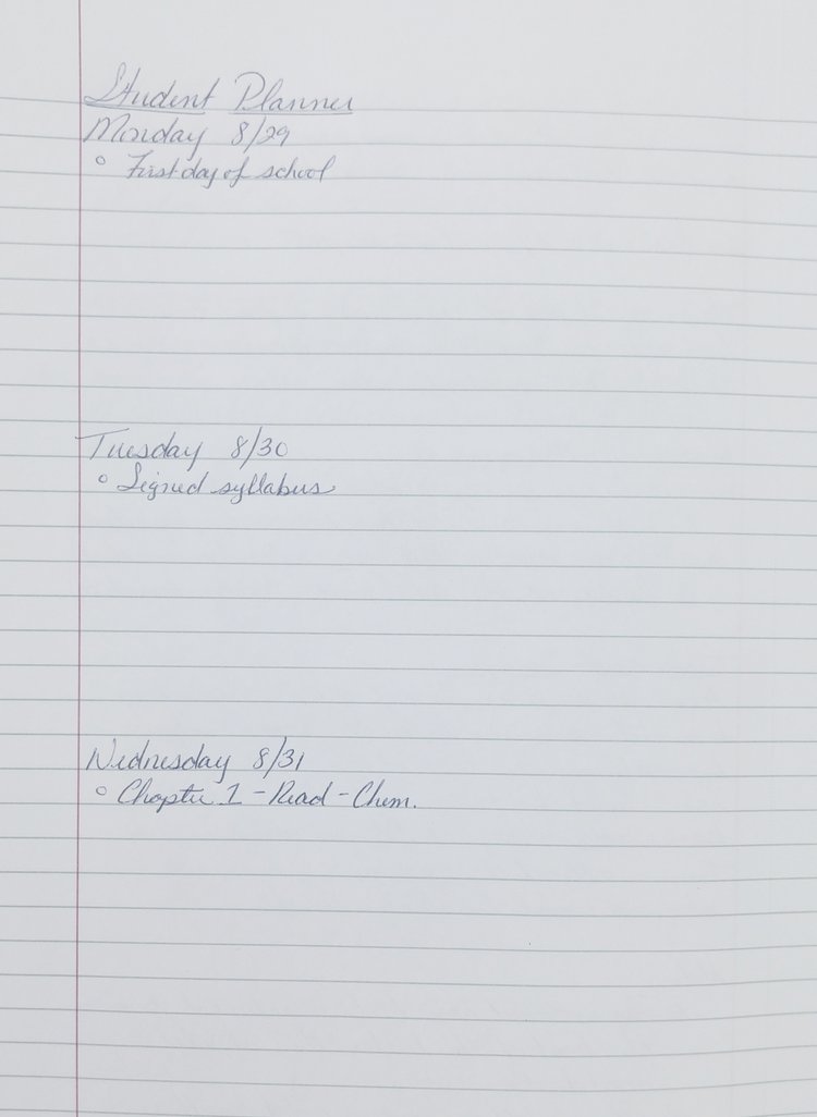 Bullet Journal Student Planner Sample 1