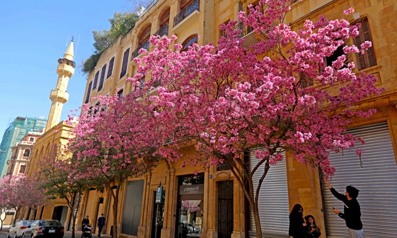 It's spring in Beirut!