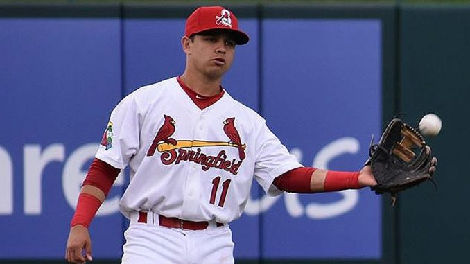 Jardinero con uniforme blanco y rojo de los Cardenales con dorsal 11 atrapa una pelota en vuelo durante un juego de beisbol