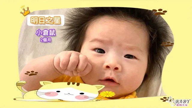 帶給拔比媽咪豐收滿倉的小倉鼠-2個月女寶寶｜北投之家寶寶模特兒相簿