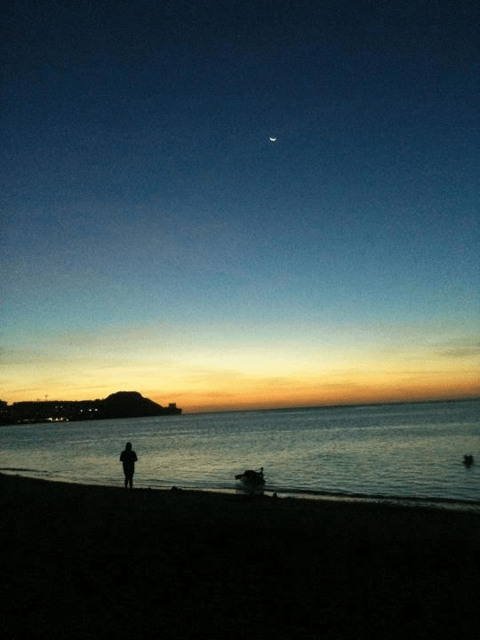 Curated Travel Experiences