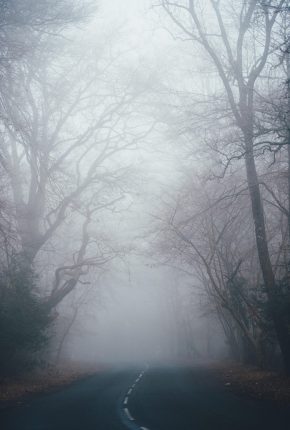 Fear