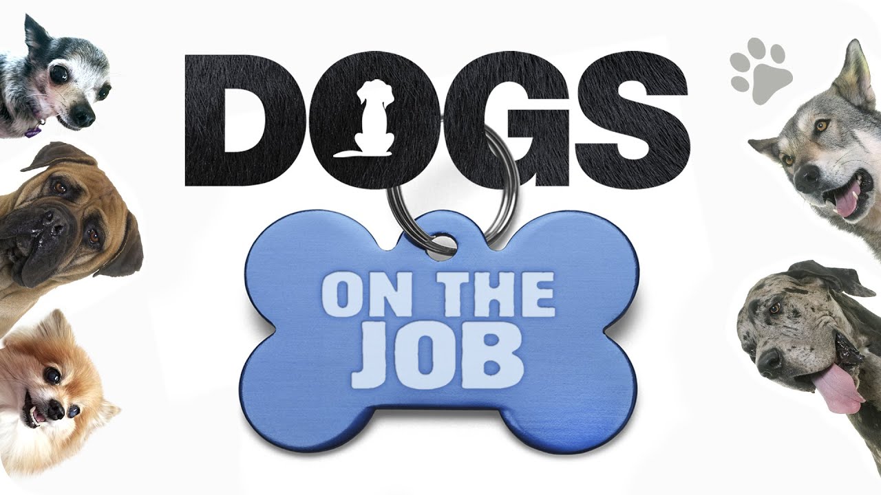 Dogs on the Job