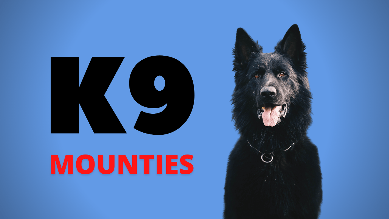 K9 Mounties