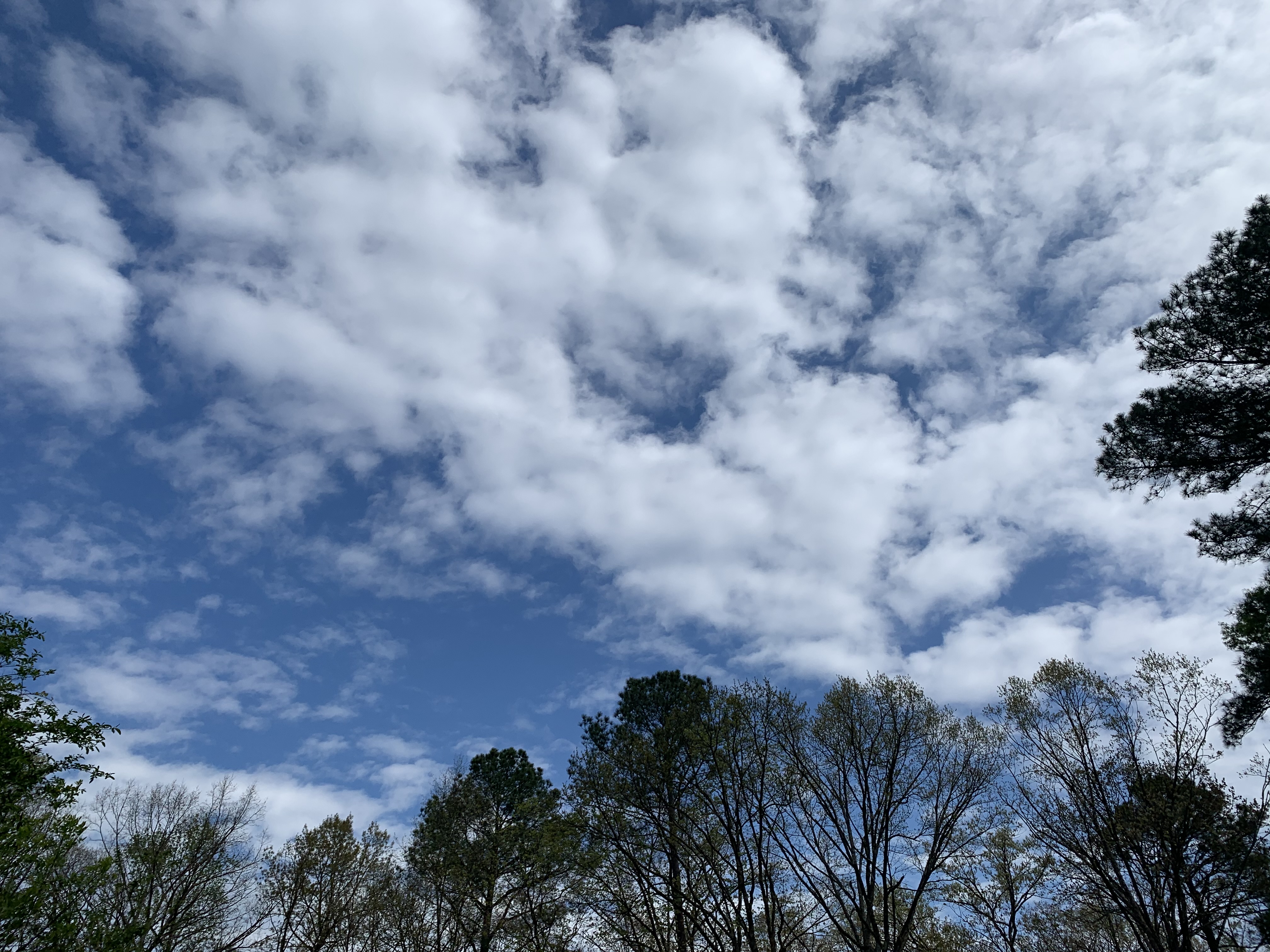 clouds