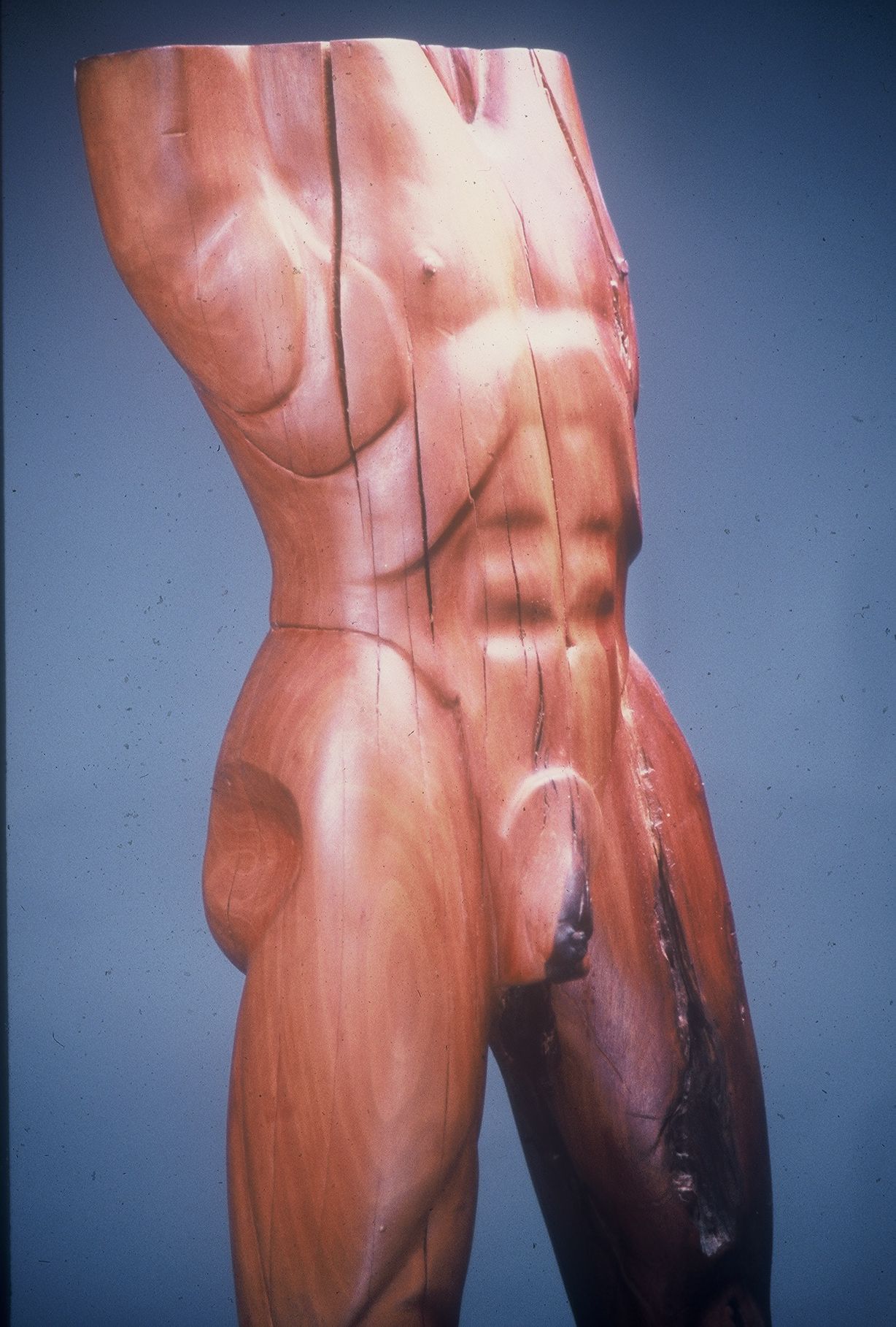 Torso | pear wood