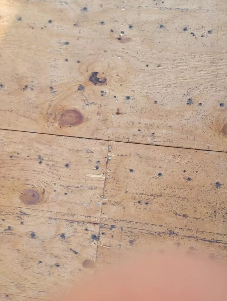 Project Roof To Wall