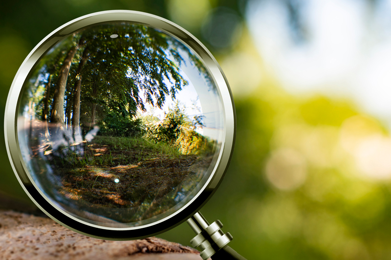 Focus on nature shown with a magnifying glass that magnifies individual parts of nature's life. The Nordic landscape is in focus here.
