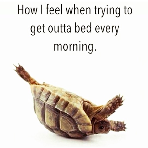 Truth. Include epic groaning sounds.