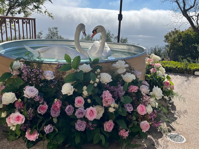 White swans floating in a raised pool surrounded by pink and white floral arrangements at an outdoor luxury wedding event