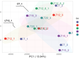 Pca Dimensional Reduction Visualization For Rna Seq Pca Plot Tomicsvis