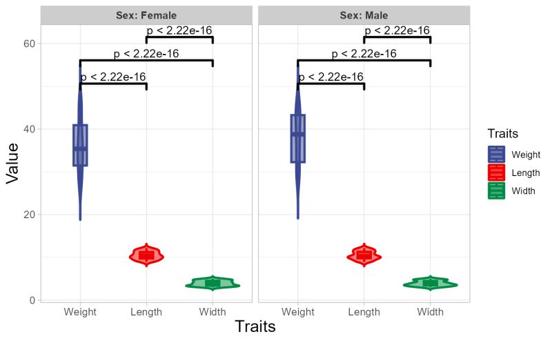 Violin Plot Flim Analyzer Documentation - Ultra HD Geometric Illustrations for Desktop