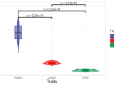 Violin Plot Support Two Levels And Multiple Groups With P Value