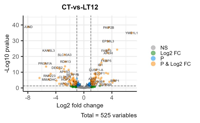 Plot Volcano Raster Observable Observable - Best Gradient Illustrations in Full HD