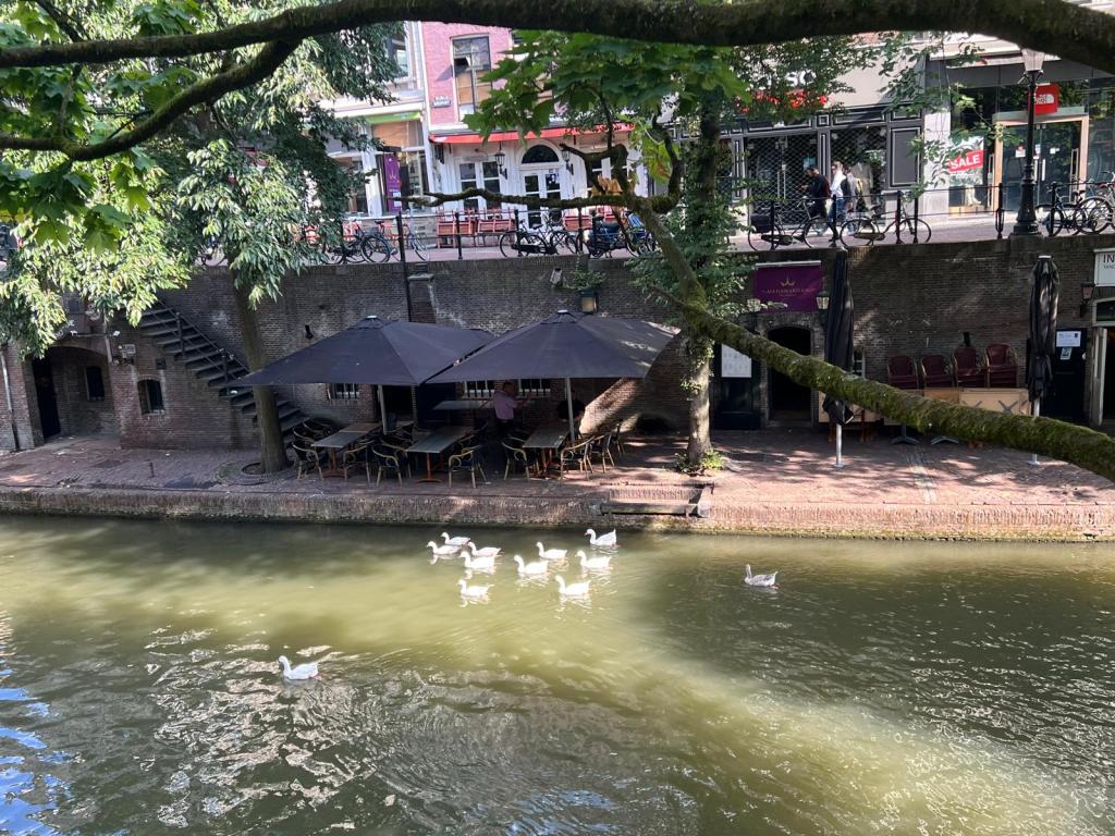 canal view along Oudegracht