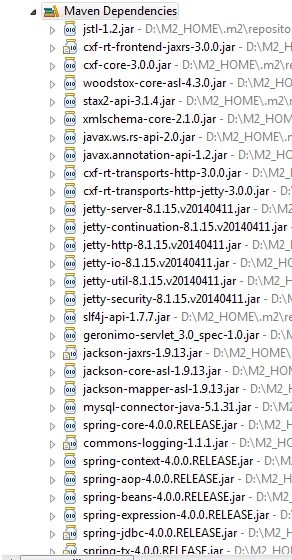 2_ApacheCXF-Spring-Security_Jars_In_Classpath
