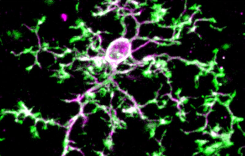 Teaching Benjamin Devlin - Premium Colorful Photo Gallery - High Resolution