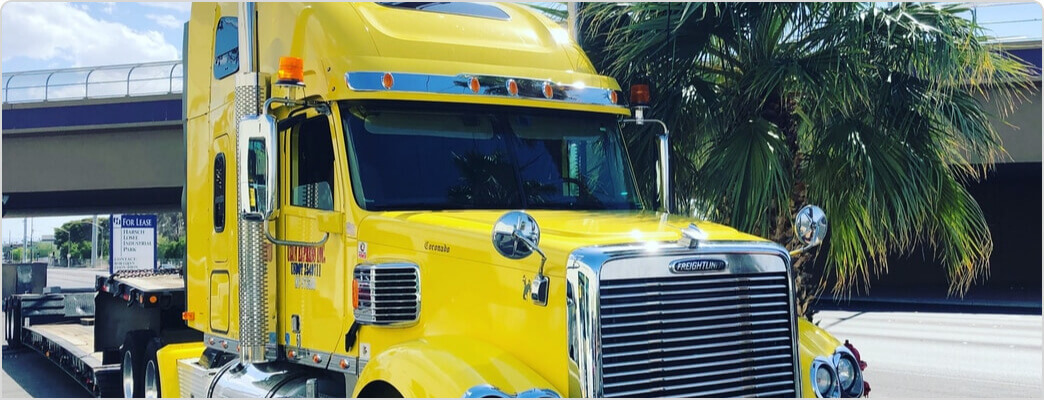 Product Range Bendix Brakes - Premium Nature Texture Gallery - Retina