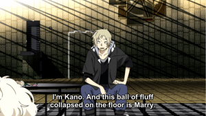 Watch it, Kano. That ball of fluff is an important plot point!