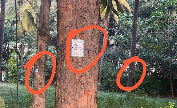 ಮರ ಗಣತಿ ಪೈಲೆಟ್ ಯೋಜನೆಯಲ್ಲಿ ಮರದ ವಿವರಗಳನ್ನು ಹೊಂದಿರುವ ಕ್ಯೂ ಆರ್ ಕೋಡ್ ಚಿತ್ರವನ್ನು ದಾರದಿಂದ ಸುತ್ತಿ ಅಳವಡಿಸಿರುವುದು.