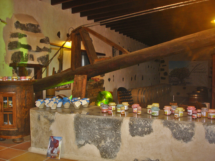 Lanzarote - Bodega La Florida