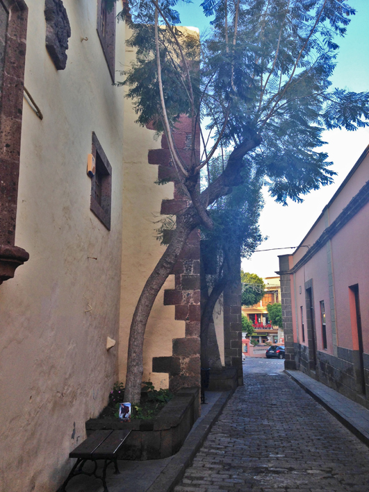 Gran Canaria - Guía